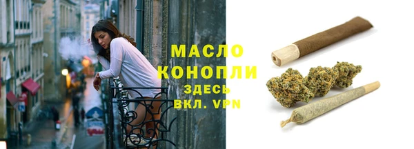 сатива Пересвет