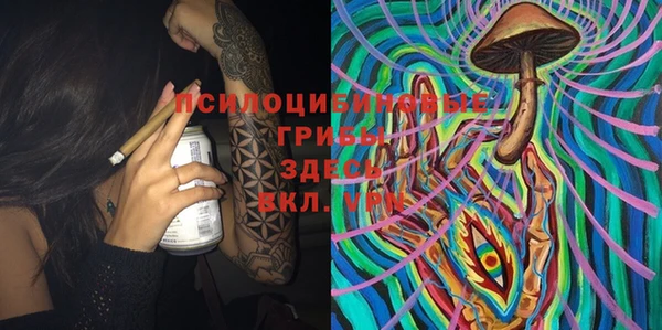 хмурый Алексеевка