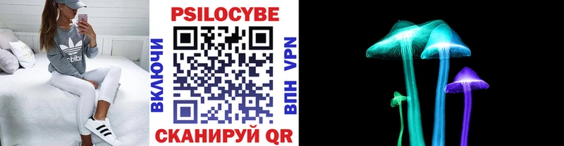 где продают   Болхов  Псилоцибиновые грибы Magic Shrooms 